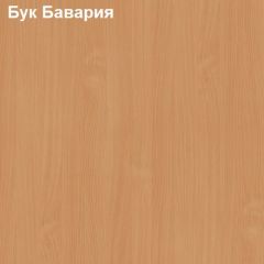 Антресоль для узкого шкафа Логика Л-14.2 в Надыме - nadym.mebel24.online | фото 2