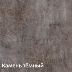Крафт Полка навесная 15.64 в Надыме - nadym.mebel24.online | фото 4