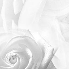 Кухонный фартук Цветы 217 МДФ матовый (3000) Flowers в Надыме - nadym.mebel24.online | фото