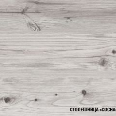 Кухонный гарнитур Сиена мини 1000 мм в Надыме - nadym.mebel24.online | фото 8