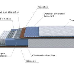 PROxSON Матрас Active Duo M/F (Ткань Трикотаж Эко) 120x190 в Надыме - nadym.mebel24.online | фото 6