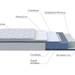 PROxSON Матрас Active Duo S/F (Ткань Трикотаж Эко) 120x190 в Надыме - nadym.mebel24.online | фото 7