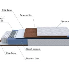 PROxSON Матрас Active F (Ткань Трикотаж Эко) 160x200 в Надыме - nadym.mebel24.online | фото 7