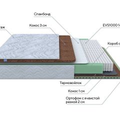 PROxSON Матрас Green Duo M/F (Tricotage Dream) 80x195 в Надыме - nadym.mebel24.online | фото 6