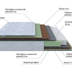 PROxSON Матрас Green M (Tricotage Dream) 120x220 в Надыме - nadym.mebel24.online | фото 10