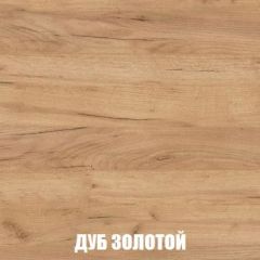 Шкаф 2-х створчатый МСП-1 (Дуб Золотой/Камень темный) в Надыме - nadym.mebel24.online | фото 4