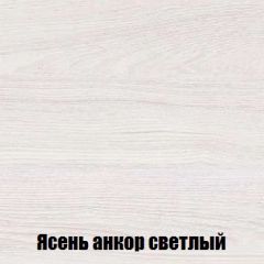 Шкаф 2-х створчатый МСП-1 (Ясень Анкор светлый) в Надыме - nadym.mebel24.online | фото 4