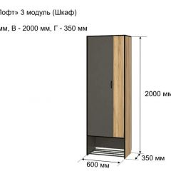 ОЛЬГА-ЛОФТ 3 Шкаф 2-х створчатый в Надыме - nadym.mebel24.online | фото 4