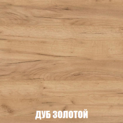 Шкаф 3-х створчатый МСП-1 (Дуб Золотой/Камень темный) в Надыме - nadym.mebel24.online | фото 4