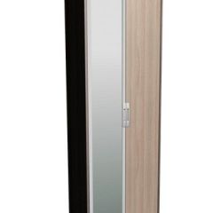 Шкаф 600 зеркало Вест М04 в Надыме - nadym.mebel24.online | фото
