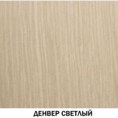 Шкаф для одежды №609 "Инна" Денвер светлый (*без полок) в Надыме - nadym.mebel24.online | фото 2