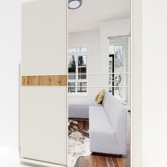 Шкаф-купе 1600 серии SOFT D6+D4+B2+PL2 (2 ящика+1штанга+1 полка) профиль «Капучино» в Надыме - nadym.mebel24.online | фото 2