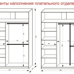 Шкаф-купе 1600 серии SOFT D6+D4+B2+PL2 (2 ящика+1штанга+1 полка) профиль «Капучино» в Надыме - nadym.mebel24.online | фото 9
