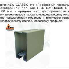 Шкаф-купе 2150 серии NEW CLASSIC K6Z+K1+K6+B22+PL1 (по 2 ящика лев/прав+1 штанга) профиль «Капучино» в Надыме - nadym.mebel24.online | фото 17