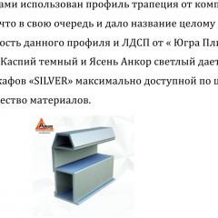Шкаф-купе 2250 серии SILVER S3+S1+S3Z B22+PL2 (по 2 ящика лев/прав+1штанга+1 полка) профиль «Серебро» в Надыме - nadym.mebel24.online | фото 4