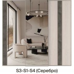 Шкаф-купе 2250 серии SILVER S3+S1+S3Z B22+PL2 (по 2 ящика лев/прав+1штанга+1 полка) профиль «Серебро» в Надыме - nadym.mebel24.online | фото 9