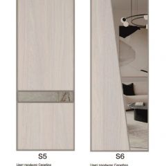 Шкаф-купе 2250 серии SILVER S3+S1+S3Z B22+PL2 (по 2 ящика лев/прав+1штанга+1 полка) профиль «Серебро» в Надыме - nadym.mebel24.online | фото 14