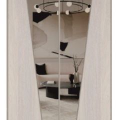 Шкаф-купе 2250 серии SILVER S3+S1+S3Z B22+PL2 (по 2 ящика лев/прав+1штанга+1 полка) профиль «Серебро» в Надыме - nadym.mebel24.online | фото 15