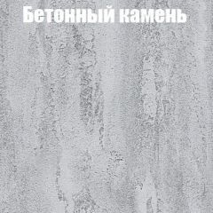 Шкаф-купе Бассо 1.0 (Дуб Крафт серый/Бетонный камень) 2 двери ЛДСП в Надыме - nadym.mebel24.online | фото 3