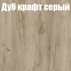 Шкаф-купе Бассо 1.0 (Дуб Крафт серый/Бетонный камень) 2 двери ЛДСП в Надыме - nadym.mebel24.online | фото 4