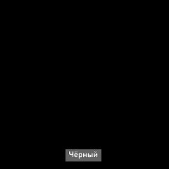 Шкаф купе без зеркала "Ольга-Лофт 10.1" в Надыме - nadym.mebel24.online | фото 6