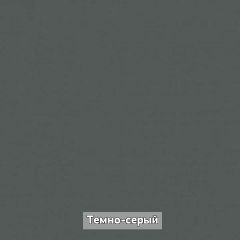 Шкаф купе без зеркала "Ольга-Лофт 10.1" в Надыме - nadym.mebel24.online | фото 7