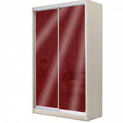 Шкаф-купе ХИТ 22-4-12/2-22 (420) в Надыме - nadym.mebel24.online | фото 9