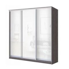 Шкаф-купе ХИТ 23-20-888 (620) в Надыме - nadym.mebel24.online | фото