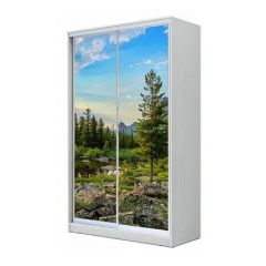 Шкаф-купе ХИТ 23-4-12-77 (420) в Надыме - nadym.mebel24.online | фото 1