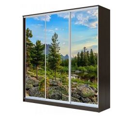 Шкаф-купе ХИТ 23-4-18-777 (420) в Надыме - nadym.mebel24.online | фото 1
