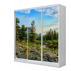 Шкаф-купе ХИТ 24-4-18/2-777 (420) в Надыме - nadym.mebel24.online | фото 1