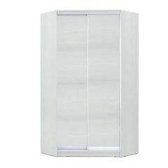 Шкаф-купе ХИТ-У-R-24-64-11 в Надыме - nadym.mebel24.online | фото