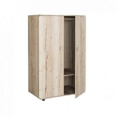 Шкаф Дельта Лофт-13.01 Дуб Ирладндский в Надыме - nadym.mebel24.online | фото 2