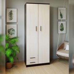 Шкаф распашной ПШ-3.9 в Надыме - nadym.mebel24.online | фото 3