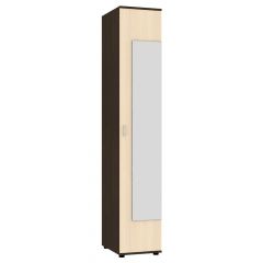 Шкаф с зеркалом "Алиса (H2_M)" ручка скоба в Надыме - nadym.mebel24.online | фото 9