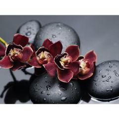 Стол обеденный Бостон Ст101.1 орхидеи в Надыме - nadym.mebel24.online | фото 3