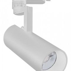 Светильник на штанге Escada 20029 20029TRA/01LED SWH в Надыме - nadym.mebel24.online | фото