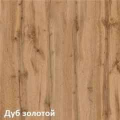 Вуди Шкаф для одежды 13.138 в Надыме - nadym.mebel24.online | фото 4