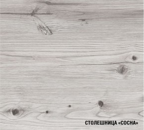 АСАЯ Кухонный гарнитур Экстра 2 (3000 мм) ПМ в Надыме - nadym.mebel24.online | фото 8
