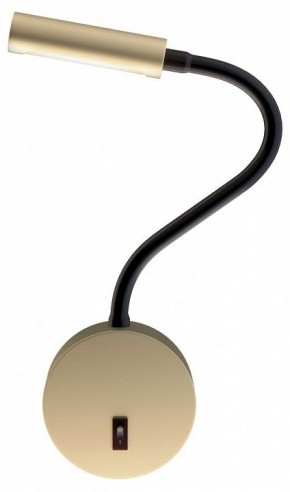 Бра Maytoni Stem C035WL-L3MG3K в Надыме - nadym.mebel24.online | фото