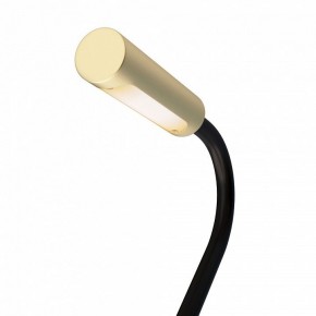 Бра Maytoni Stem C035WL-L3MG3K в Надыме - nadym.mebel24.online | фото 6