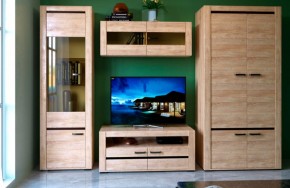 БЬЯНКА НКМ Гостинная (модульная) дуб баррик в Надыме - nadym.mebel24.online | фото 1