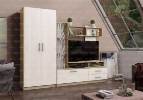 ДАРЬЯ Гостиная (Крафт серый/Крафт белый) в Надыме - nadym.mebel24.online | фото