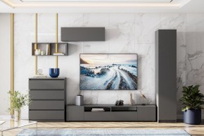 ДЕНВЕР Тумба для телевидеоаппаратуры (Графит серый) в Надыме - nadym.mebel24.online | фото 4