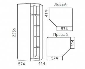 Детская Фанк Шкаф угловой Левый/Правый НМ 013.04-02 М в Надыме - nadym.mebel24.online | фото 3