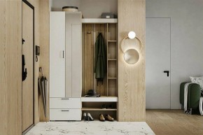 Гарнитур для прихожей Торонто в Надыме - nadym.mebel24.online | фото 5