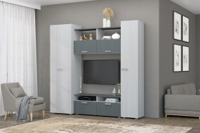 Гостиная Эмми (Анкор светлый/Графит) в Надыме - nadym.mebel24.online | фото