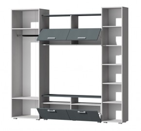 Гостиная Эмми (Анкор светлый/Графит) в Надыме - nadym.mebel24.online | фото 3