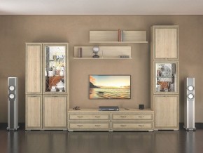 Гостиная Ливорно дуб сонома в Надыме - nadym.mebel24.online | фото 1