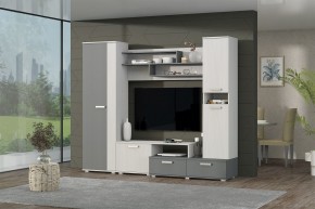 Гостиная Юна (Анкор светлый/Графит) в Надыме - nadym.mebel24.online | фото 3